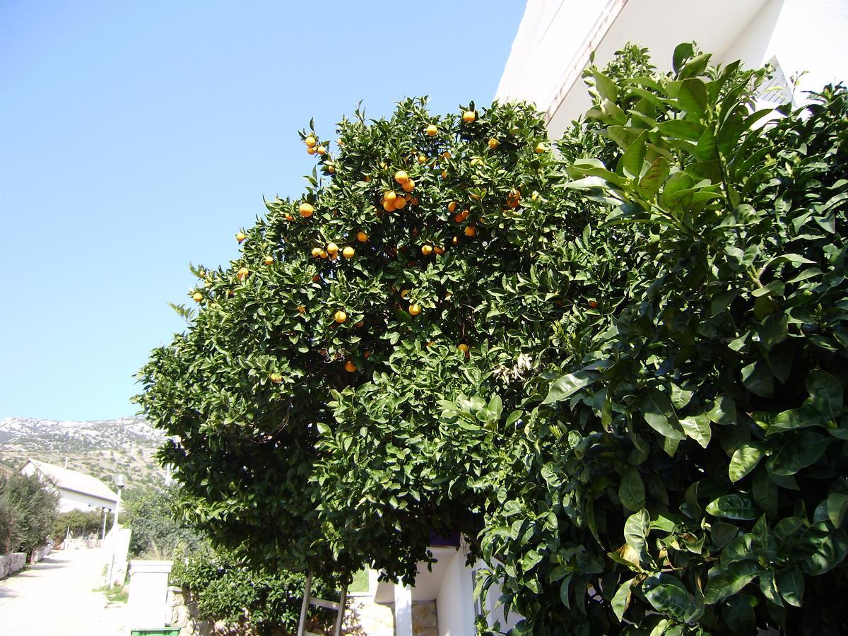 Pansion Braco Bed & Breakfast Zavala Exterior foto